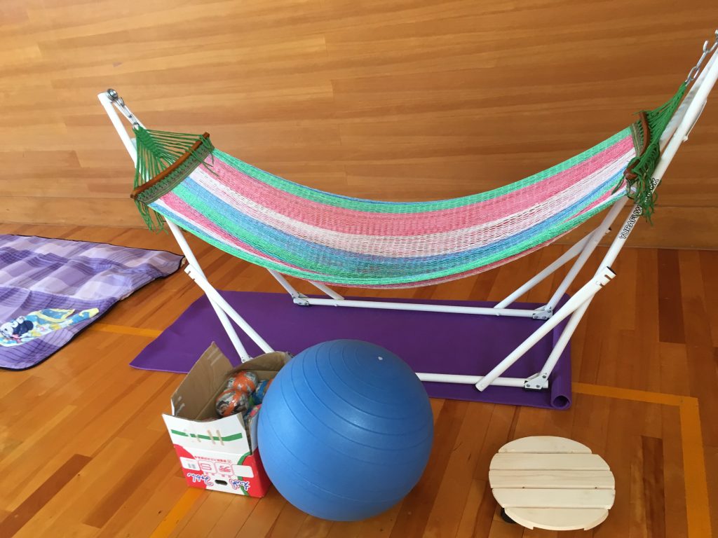 発達支援個別セッションってなに？