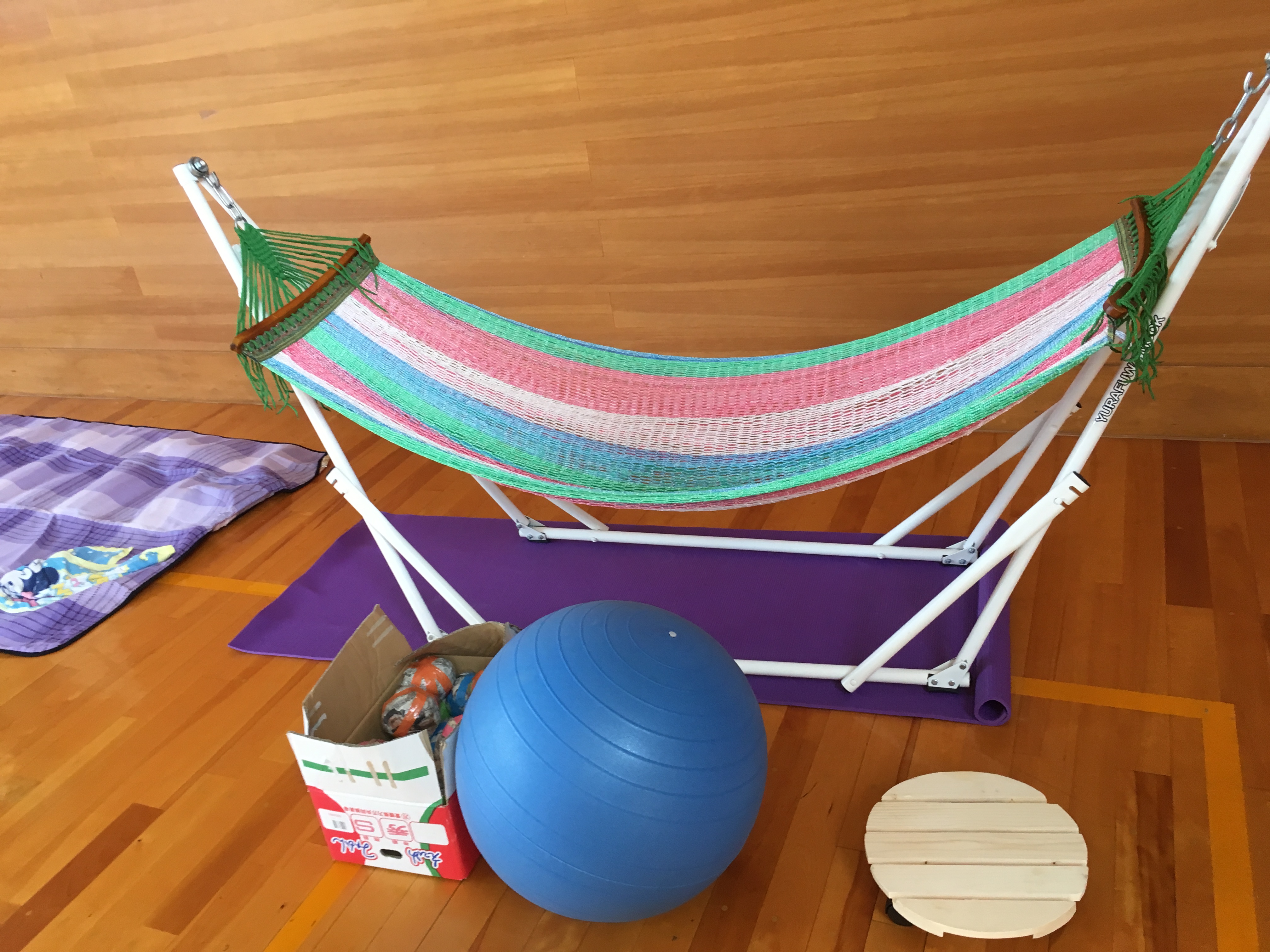 発達支援コーチ ご自宅訪問