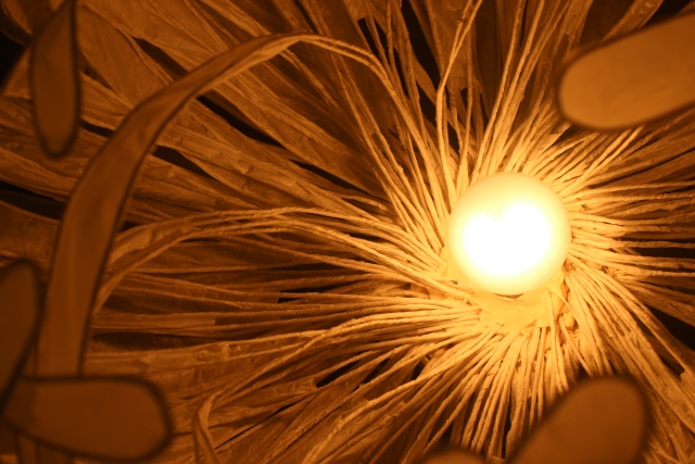 発達障害の診断。子どものために動きたいでも何をしていいかわからないという親御さんへ