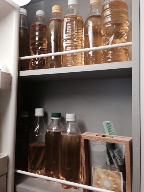 経皮毒を入れないシャンプーってあるの？