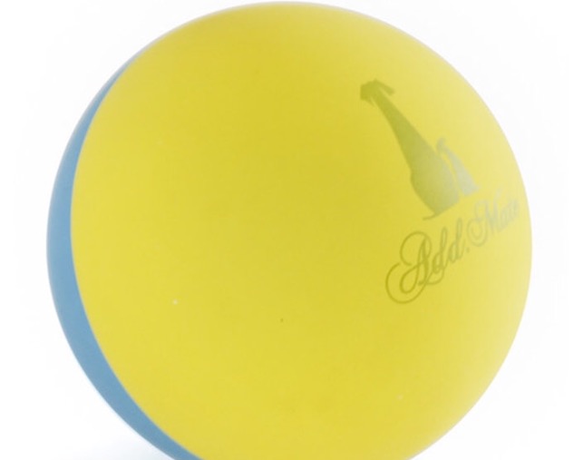 オススメ遊具・遊びの会 11月2回目