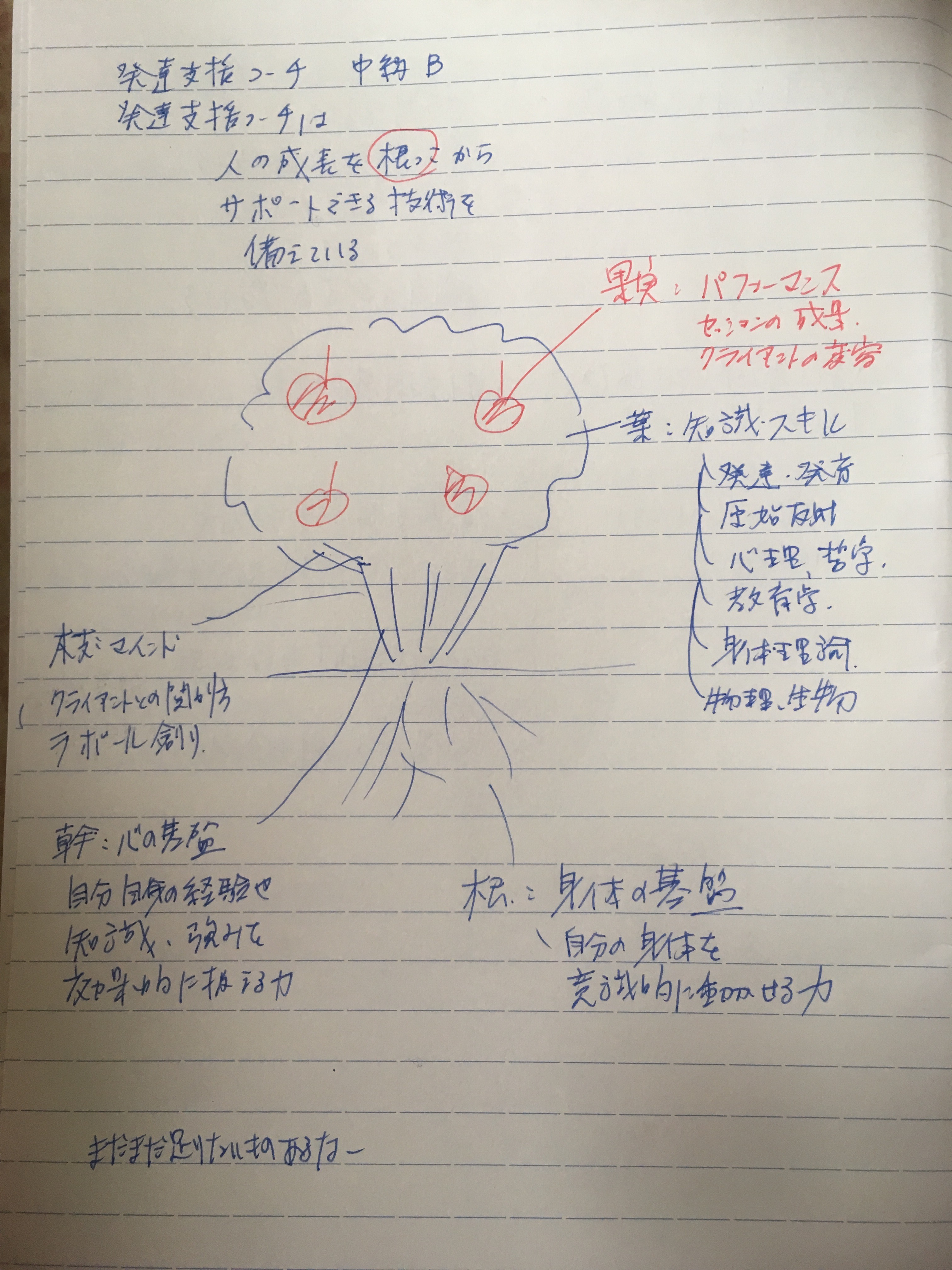 色々な回り道、無駄じゃないよ