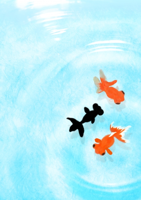 心地よい感覚を味わうと人間は丈夫になる