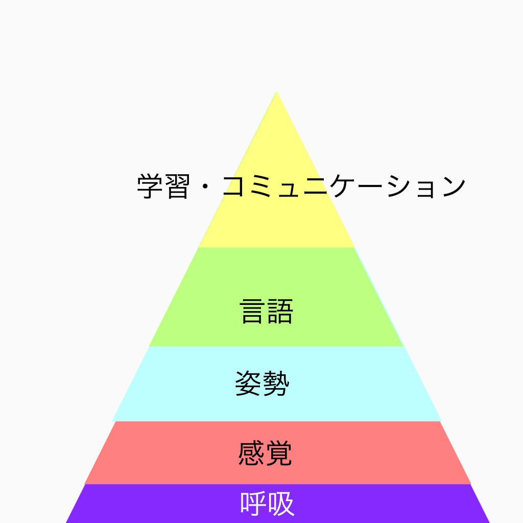 発達のピラミッドに沿った土台作りで学習やコミュニケーションの発達支援が効果的になります