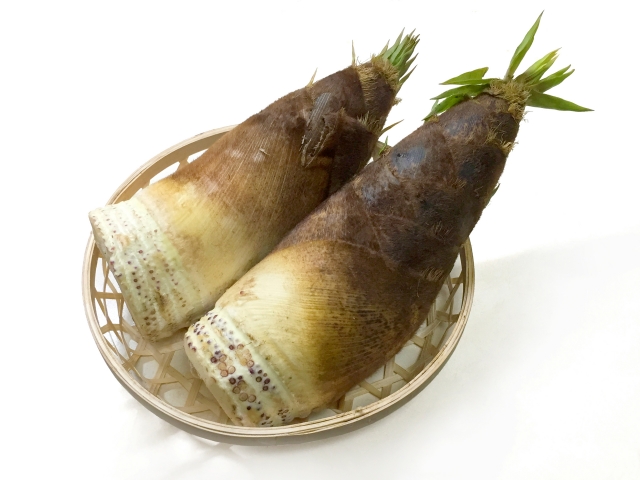 たけのこの白い粉は神経伝達物質の原料になる