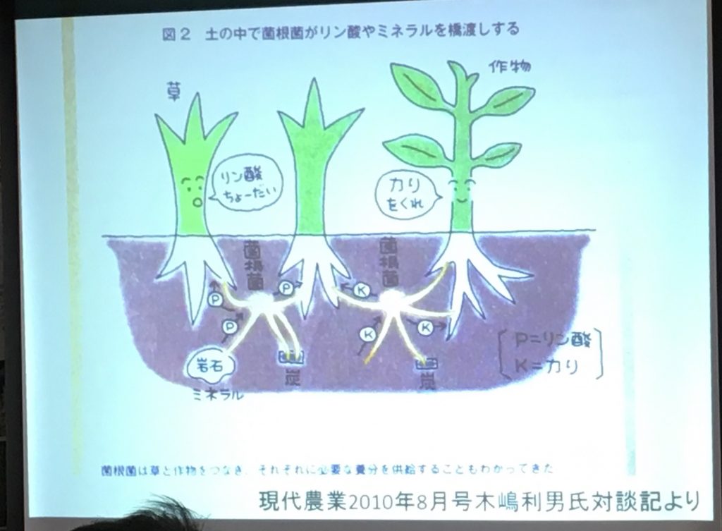 私でもできそう！無農薬農業塾に参加