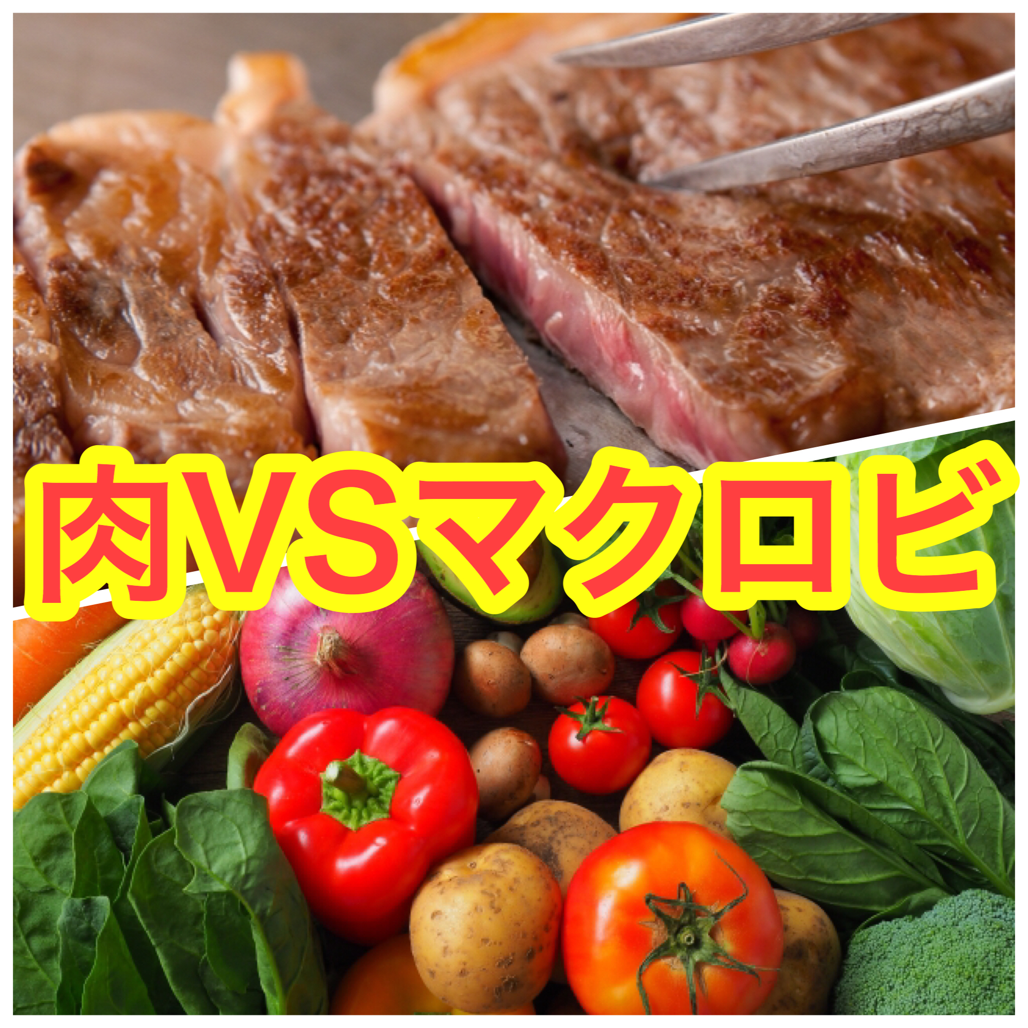 肉食VSマクロビ   消化編