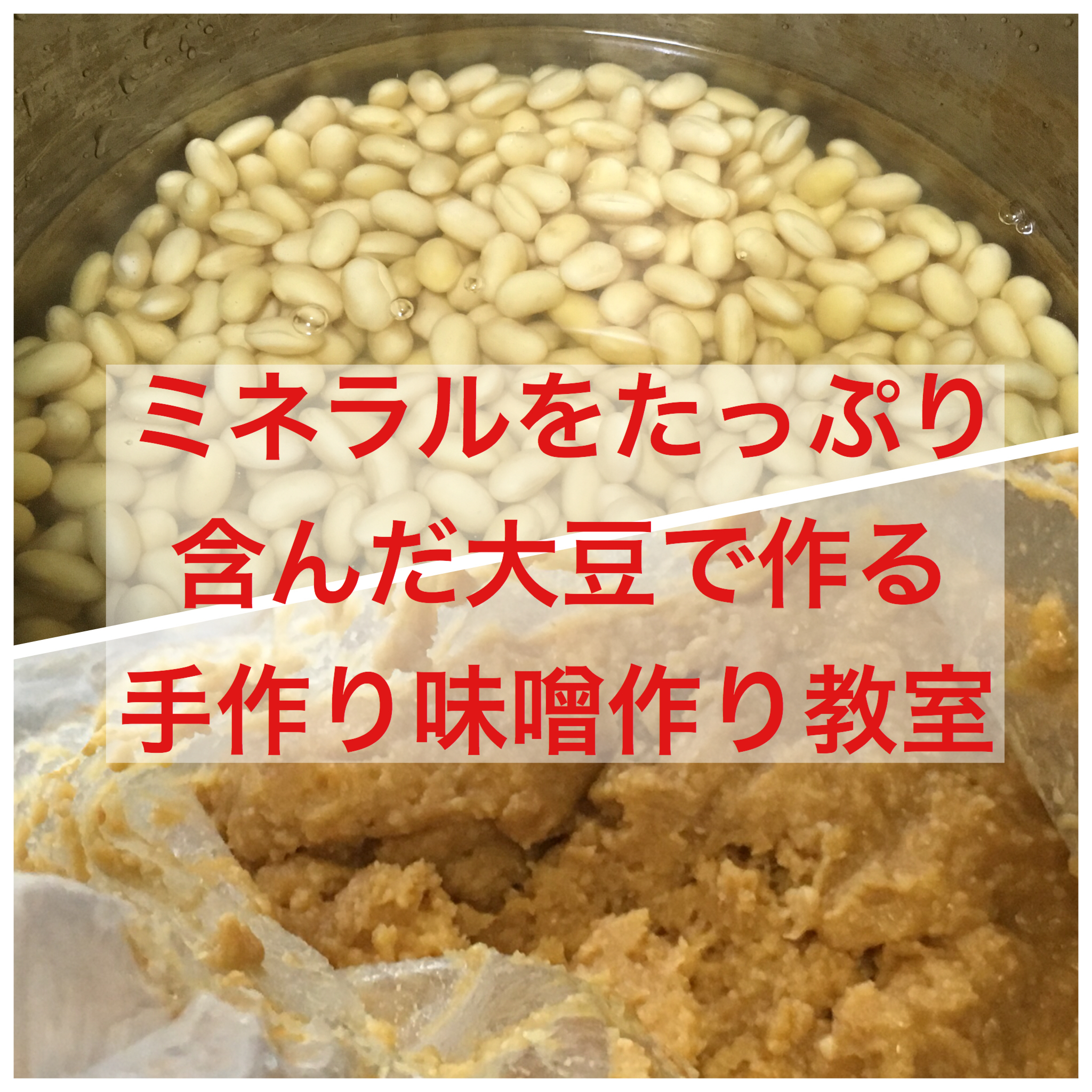 2ヶ月でできる味噌作り教室