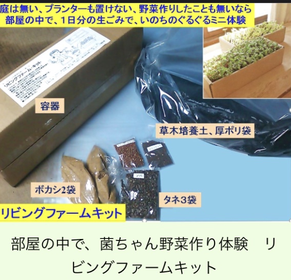 リビングでできる菌ちゃん野菜