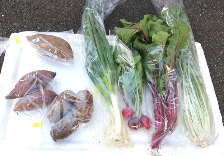 固定種自然栽培野菜販売します