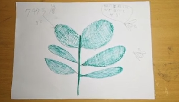 緑の濃い野菜と薄い野菜の違い