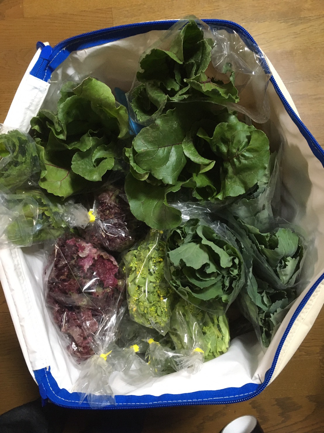 ウィルスに怖がる未来を選ぶかウィルスと共存する未来を選ぶか