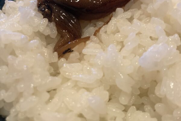 富山を味わえる朝ご飯を食べられるホテル